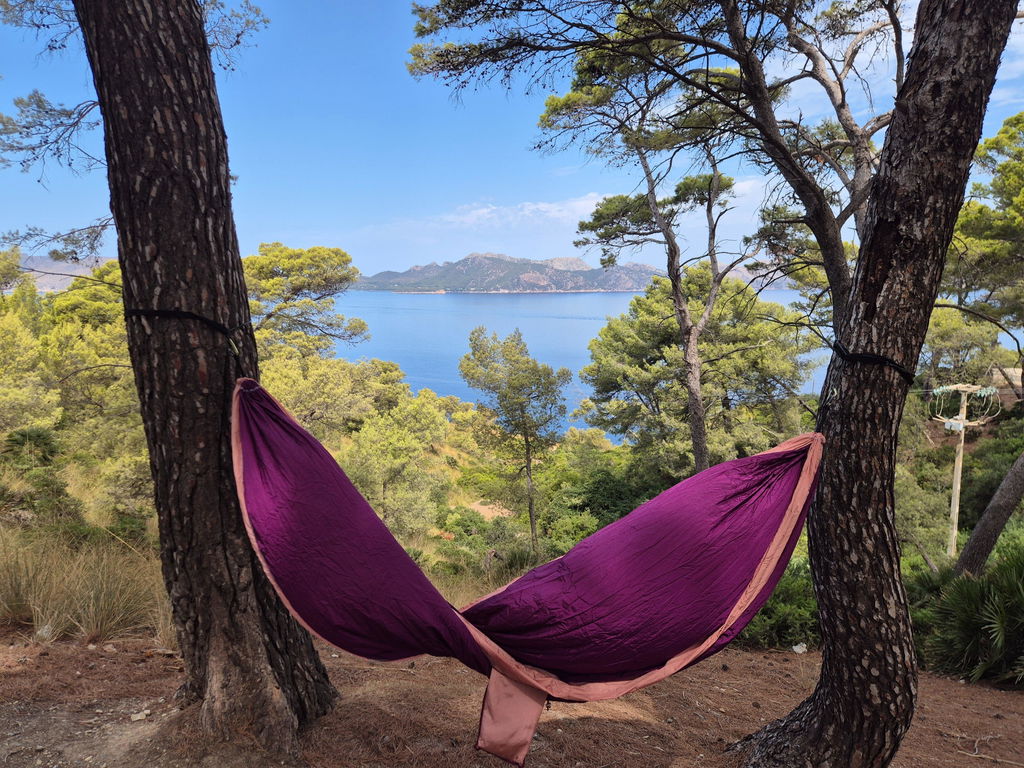 Tient dans la poche
