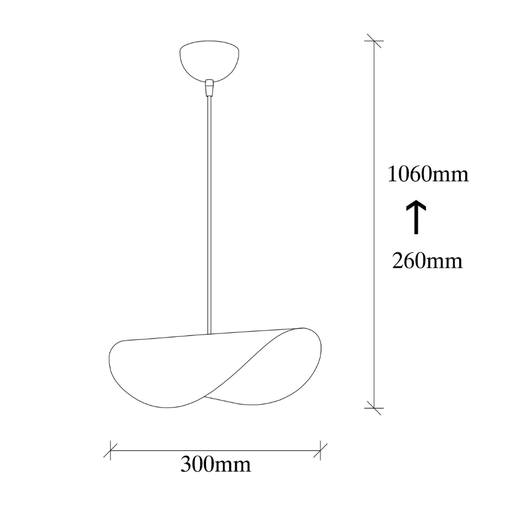 concept-usine-salome-suspension-m-tal-filaire-dor-e-et-noire image 4