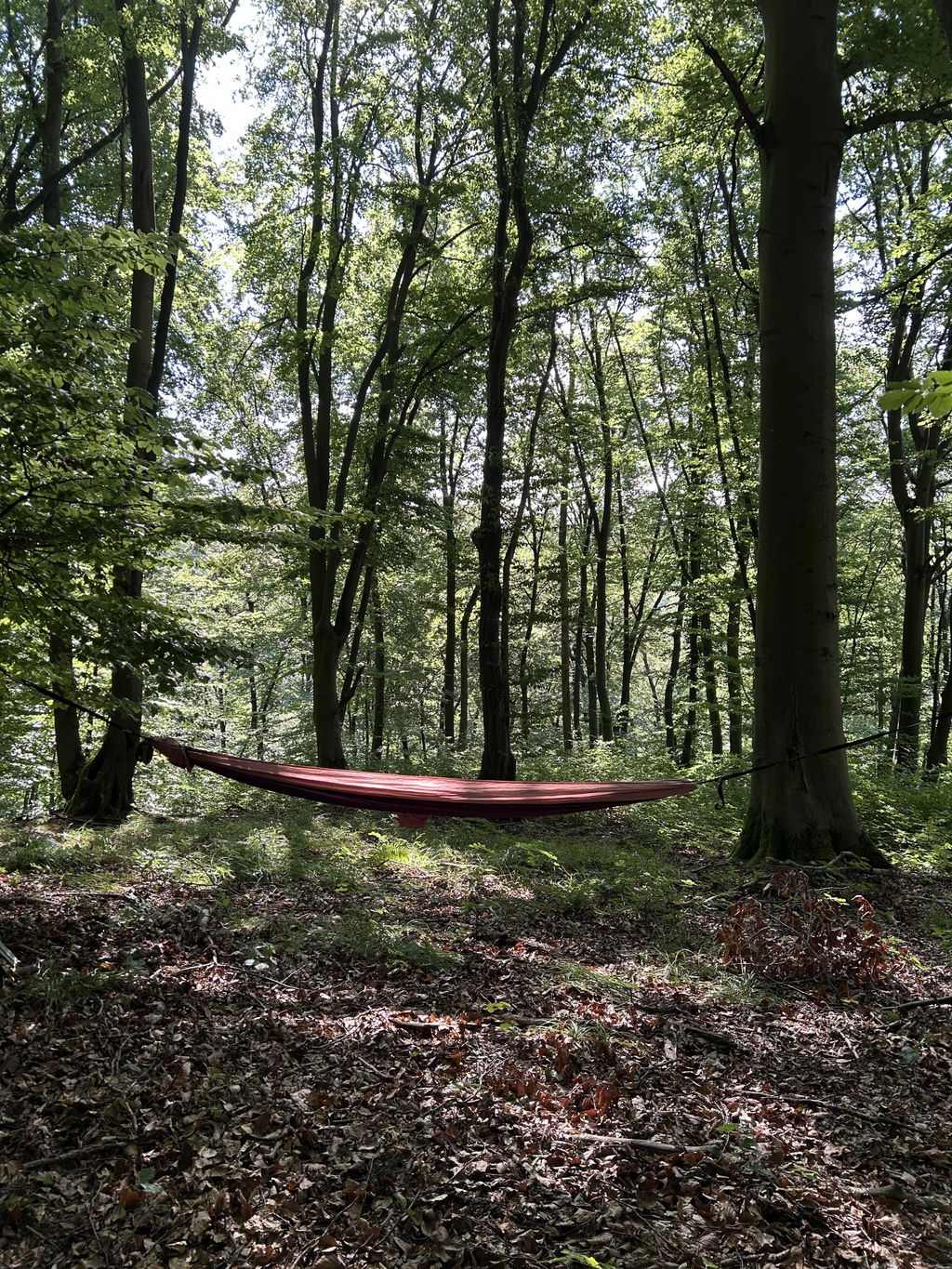 Large pour une sieste