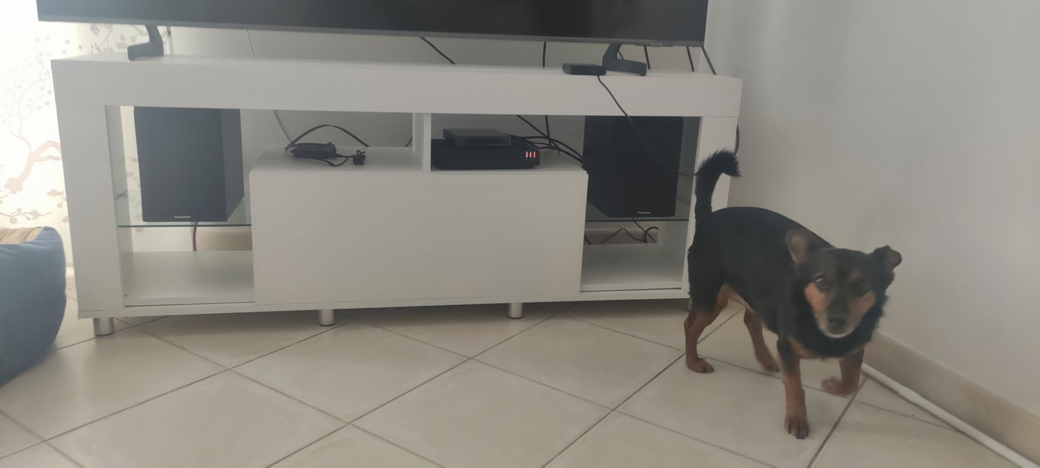 Bien reçu