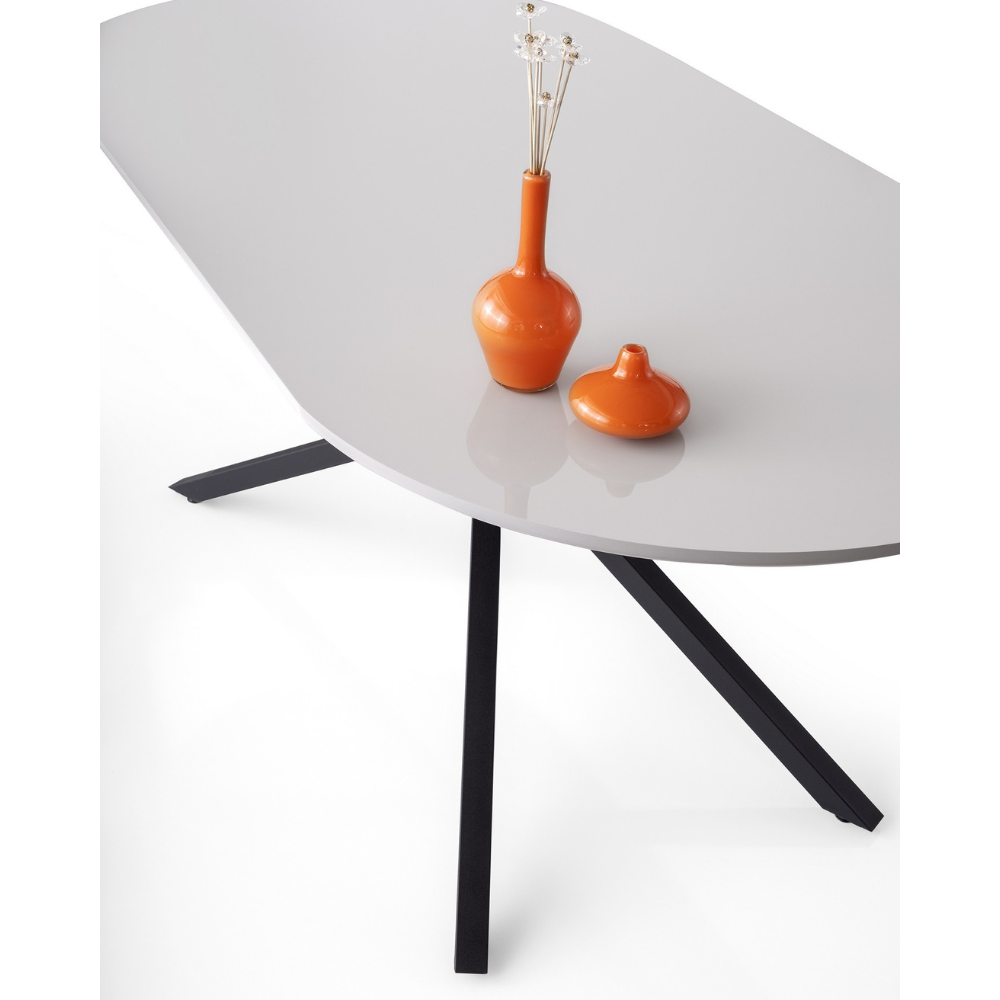 concept-usine-karvia-table-salle-manger-6-places-grise image 6
